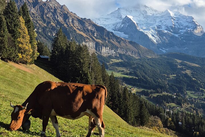 Easy countryside tour in Swiss Alps - kids friendly