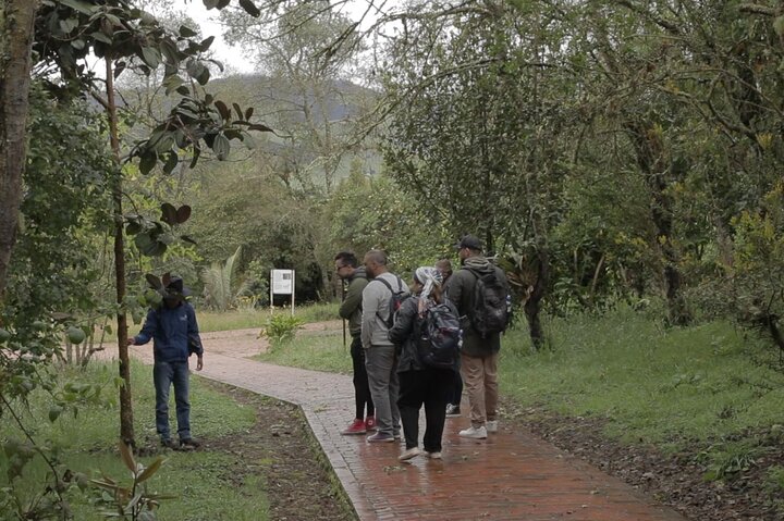 Shared Tour Zipaquirá Salt Cathedral and Guatavita Lagoon