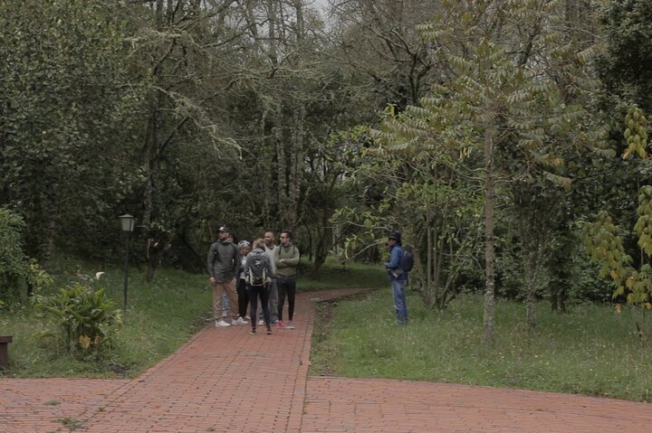 Shared Tour Zipaquirá Salt Cathedral and Guatavita Lagoon