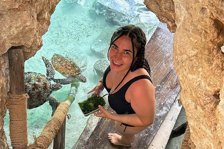 Turtles Sanctuary in Zanzibar