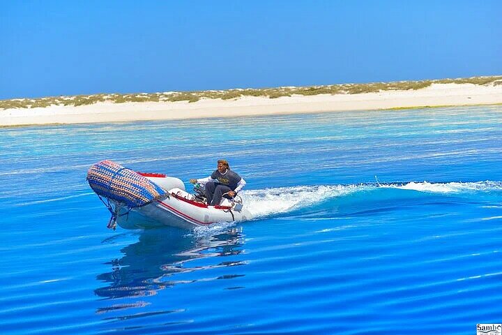 Marsa Mubarak Boat Trip with Turtles and Dugongs From Marsa Alam