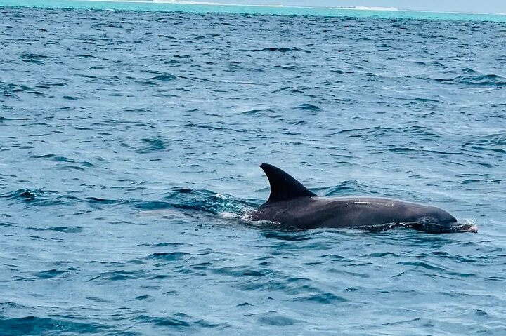 All Inclusive East Discovery 5 Island Tour By Speedboat