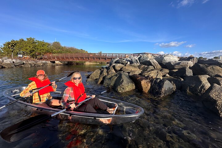 Clear Kayak Peanut Island Guided Tour Palm Beach Singer Island