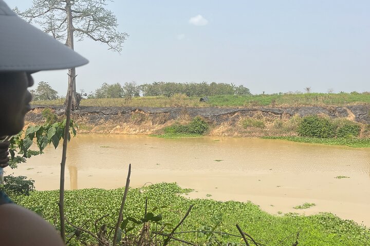 Hippos Watching Tour