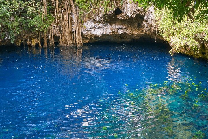 Chichén Itzá, Valladolid and 2 cenotes Ik kil and suytun