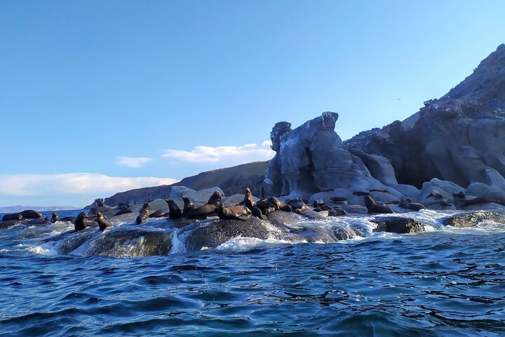Best Tour to Coronados Island