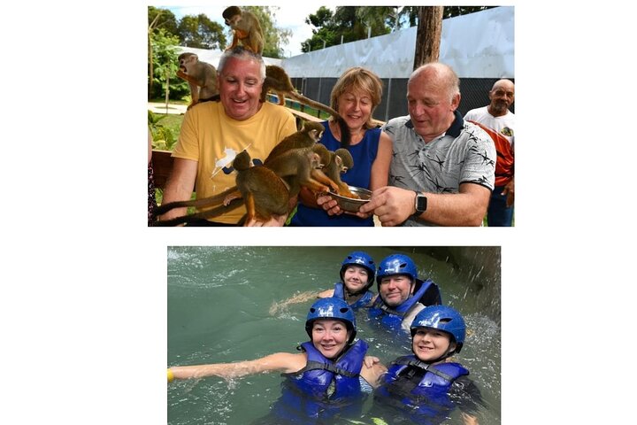 Monkey Home Tour and Damajagua waterfalls in Puerto Plata.