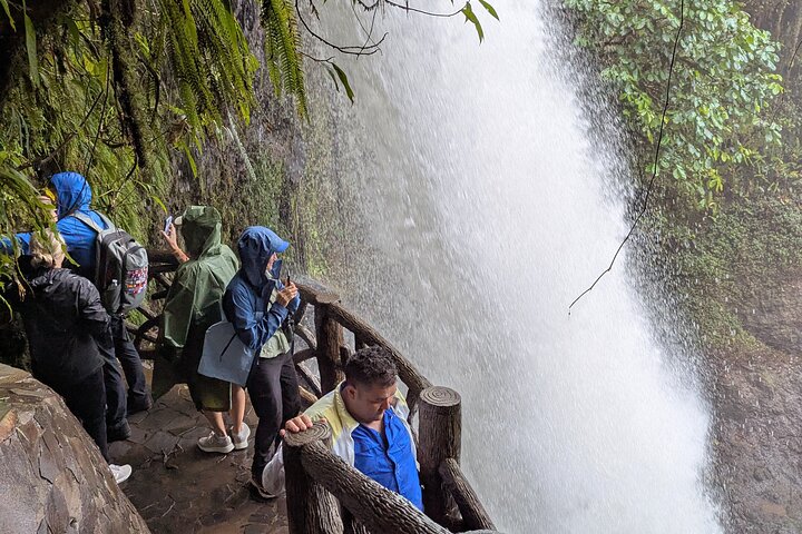 La Paz Waterfall Gardens and Wildlife Refuge Tour from San Jose
