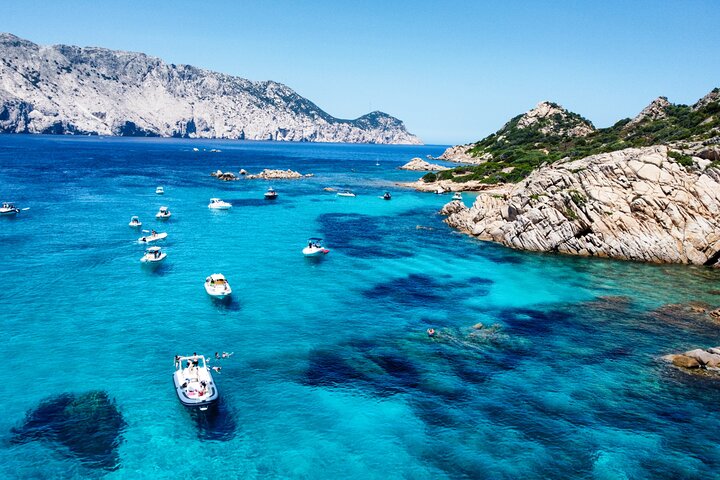Boat tour to explore the Marine Protected Area of Tavolara