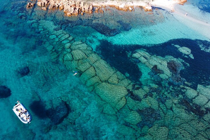 Boat tour to explore the Marine Protected Area of Tavolara