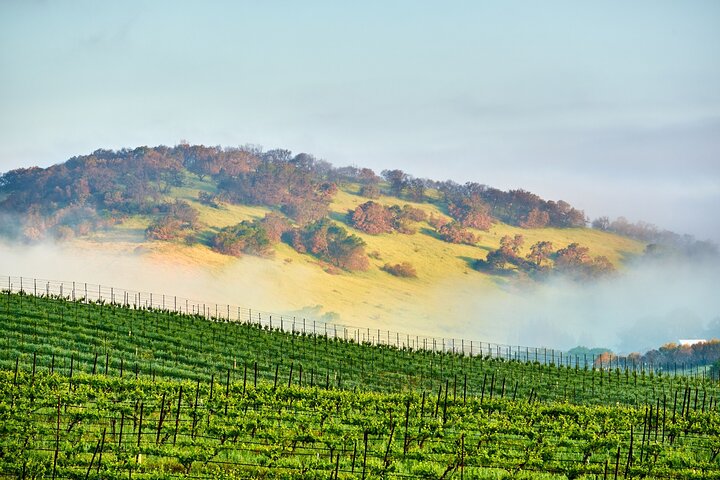 Self-Guided Audio Driving Tour of Sonoma and Napa Valley