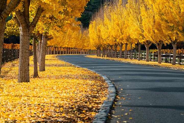 Self-Guided Audio Driving Tour of Sonoma and Napa Valley