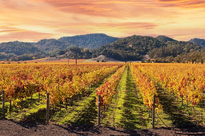Self-Guided Audio Driving Tour of Sonoma and Napa Valley