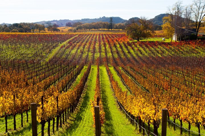Self-Guided Audio Driving Tour of Sonoma and Napa Valley