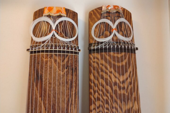 Authentic Koto Experience in Odawara Castle Town (Near Tokyo)