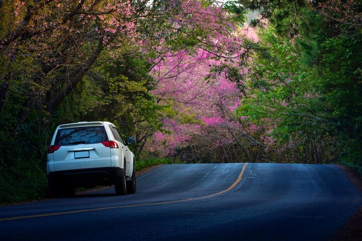 Koh Lanta Private Transfers to or from Krabi Airport (KBV)