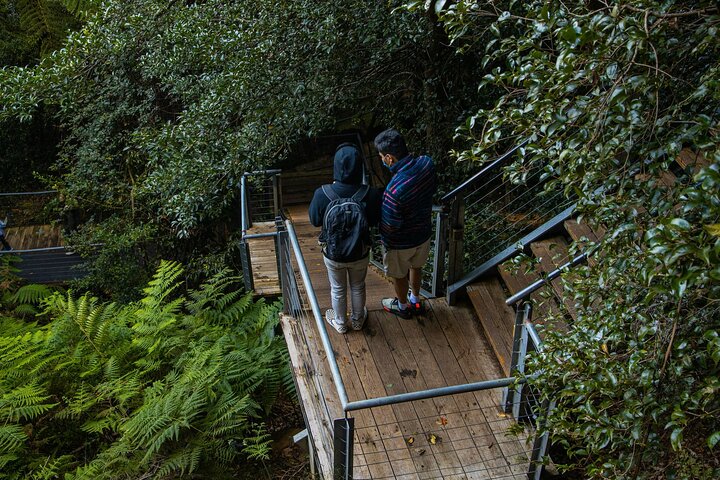PRIVATE Blue Mountains Scenic World Wentworth Falls & Cruise Tour