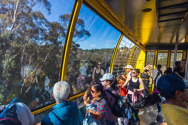 PRIVATE Blue Mountains Scenic World Wentworth Falls & Cruise Tour