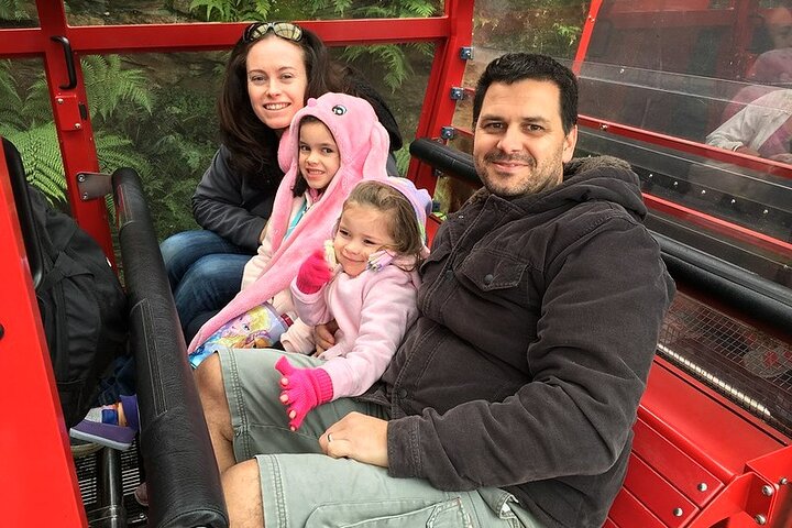 PRIVATE Blue Mountains Scenic World Wentworth Falls & Cruise Tour