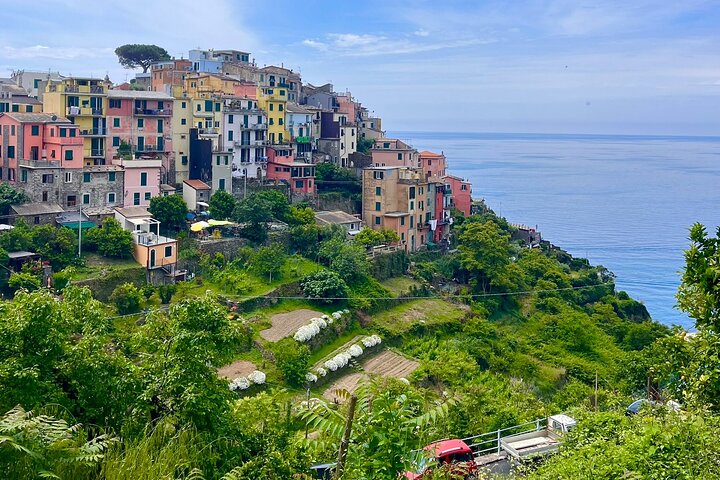 Cinque Terre PrivateTour by van from Lucca, Pisa or LaSpezia Port