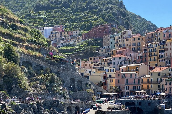 Cinque Terre PrivateTour by van from Lucca, Pisa or LaSpezia Port
