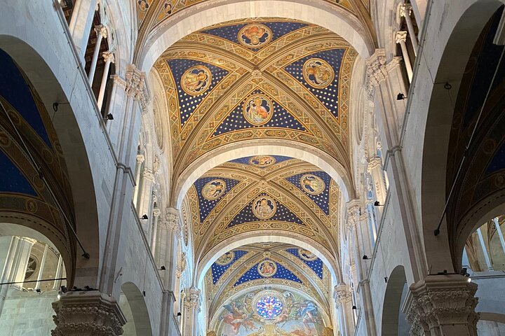 Lucca tour and Pisa Tower + WineTasting by van from Livorno Port