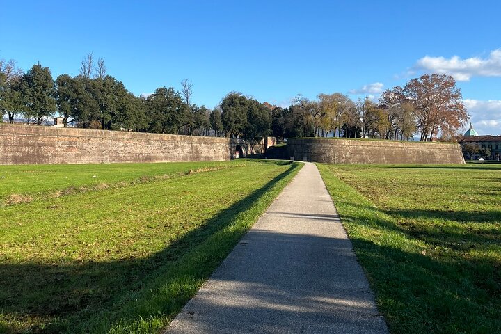 Lucca tour and Pisa Tower + WineTasting by van from Livorno Port