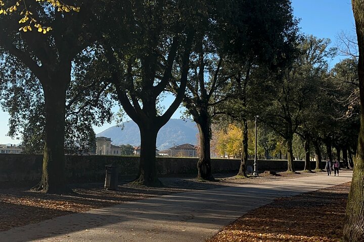 Lucca tour and Pisa Tower + WineTasting by van from Livorno Port