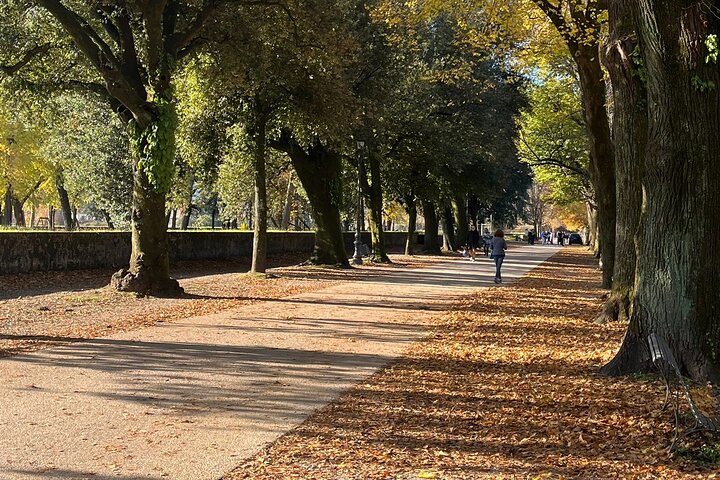 Lucca tour and Pisa Tower + WineTasting by van from Livorno Port