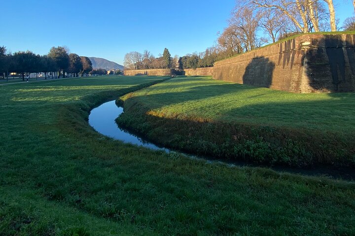 Lucca tour and Pisa Tower + WineTasting by van from Livorno Port