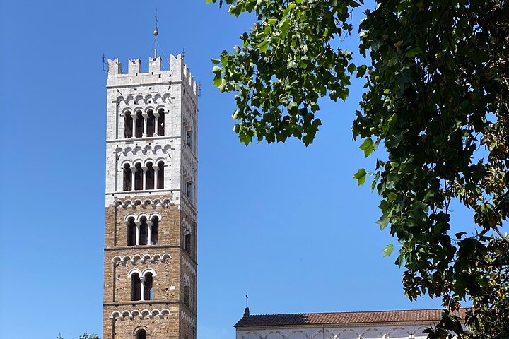 Lucca tour and Pisa Tower + WineTasting by van from Livorno Port