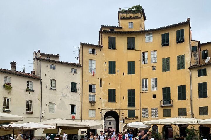 Lucca tour and Pisa Tower + WineTasting by van from Livorno Port