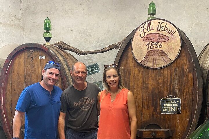 Lucca tour and Pisa Tower + WineTasting by van from Livorno Port