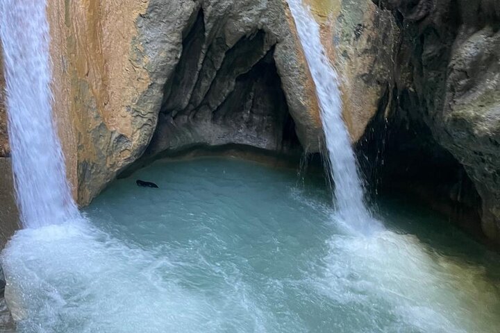 Monkey Home Tour and Damajagua waterfalls in Puerto Plata.