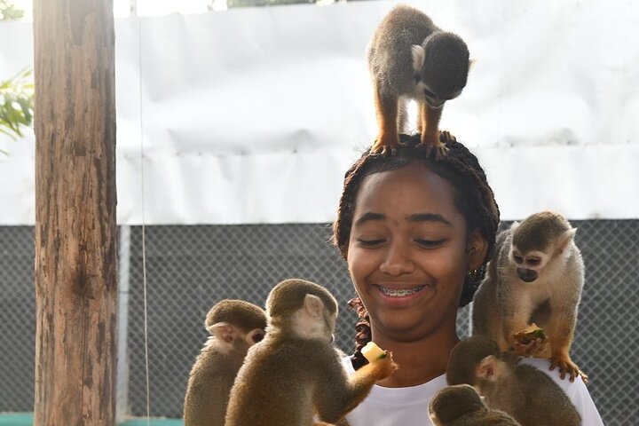 Monkey Home Tour and Damajagua waterfalls in Puerto Plata.