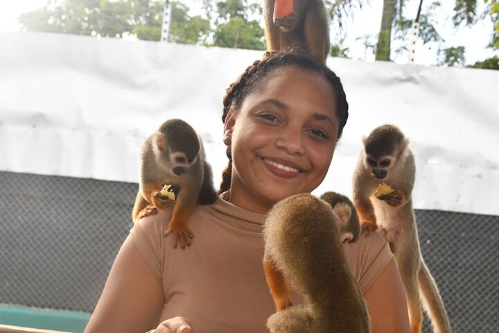 Monkey Home Tour and Damajagua waterfalls in Puerto Plata.