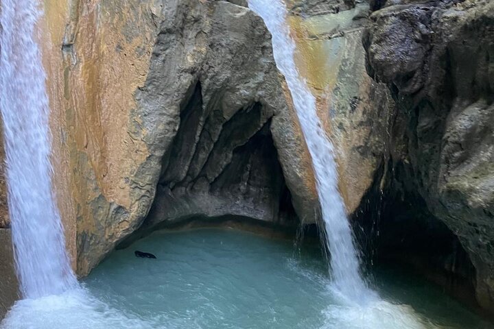 Monkey Home Tour and Damajagua waterfalls in Puerto Plata.