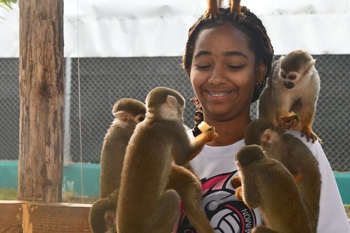 Monkey Home Tour and Damajagua waterfalls in Puerto Plata.