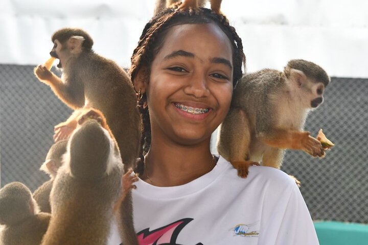 Monkey Home Tour and Damajagua waterfalls in Puerto Plata.