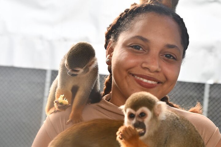Monkey Home Tour and Damajagua waterfalls in Puerto Plata.