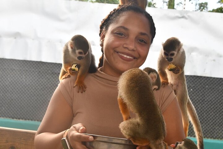 Monkey Home Tour and Damajagua waterfalls in Puerto Plata.