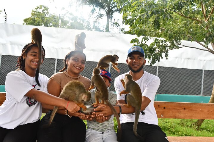 Monkey Home Tour and Damajagua waterfalls in Puerto Plata.