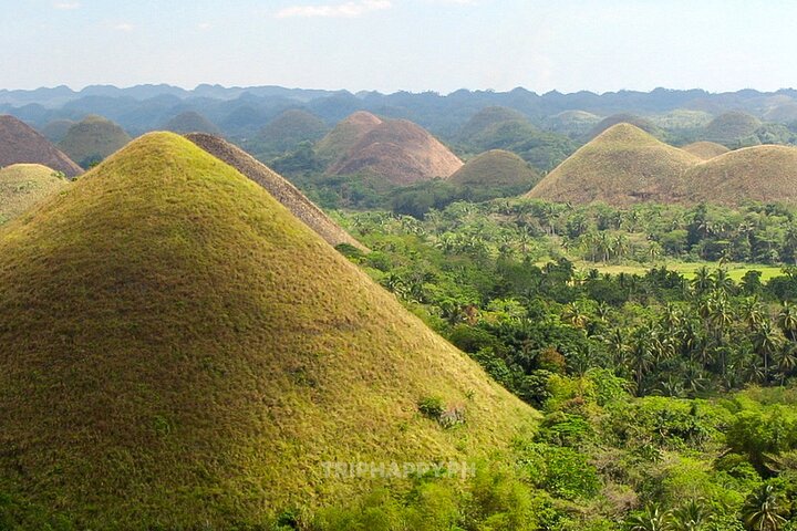 Shared Bohol Countryside Highlights Tour