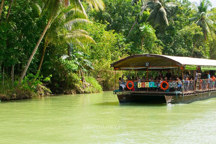 Shared Bohol Countryside Highlights Tour