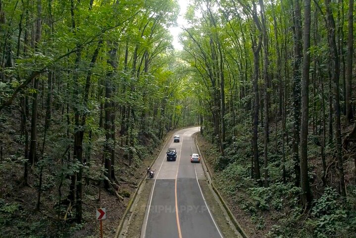 Shared Bohol Countryside Highlights Tour