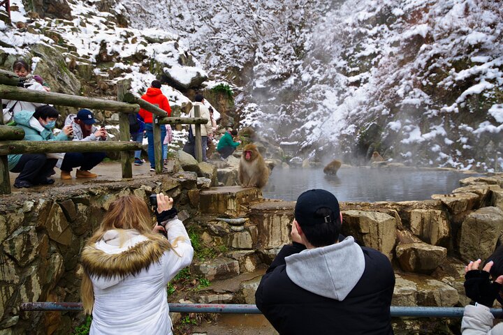 Snow Monkeys, Obuse & Sake: A Perfect Day in Nagano