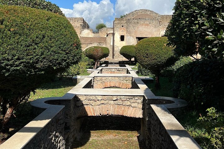 Pompeii and Herculaneum Small-Group with an Expert Archaeologist