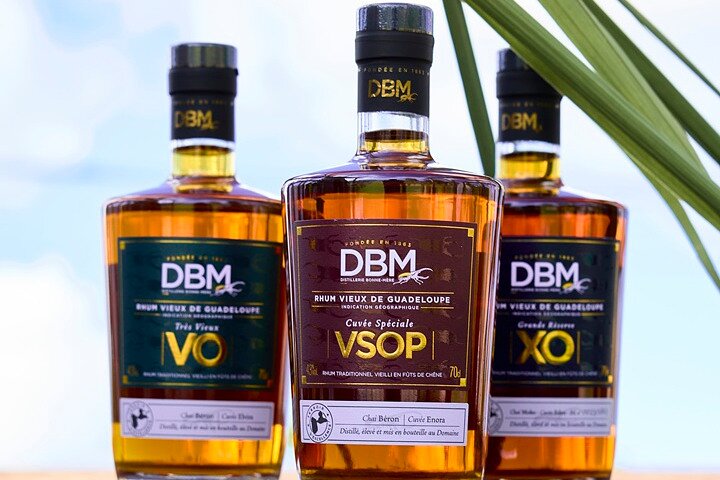 Guided tour with tasting of the Distillery Bonne Mère