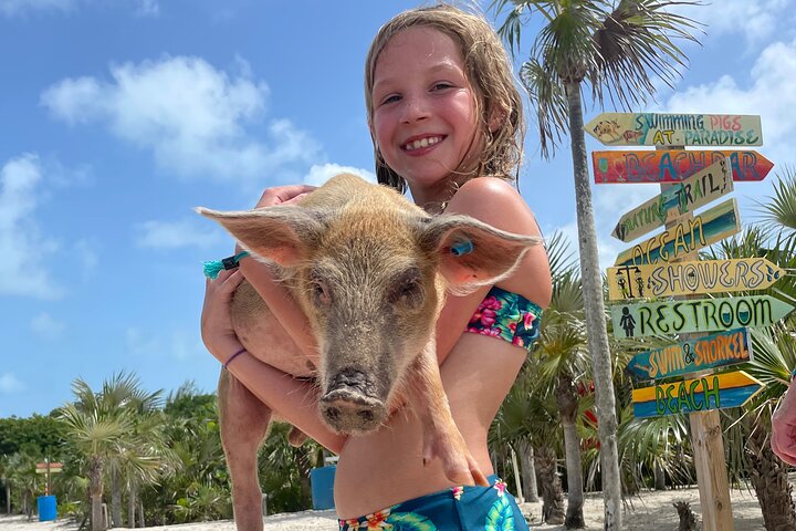 Nassau: Swimming Pigs And Snorkel With Turtles