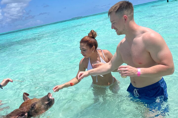 Nassau: Swimming Pigs And Snorkel With Turtles